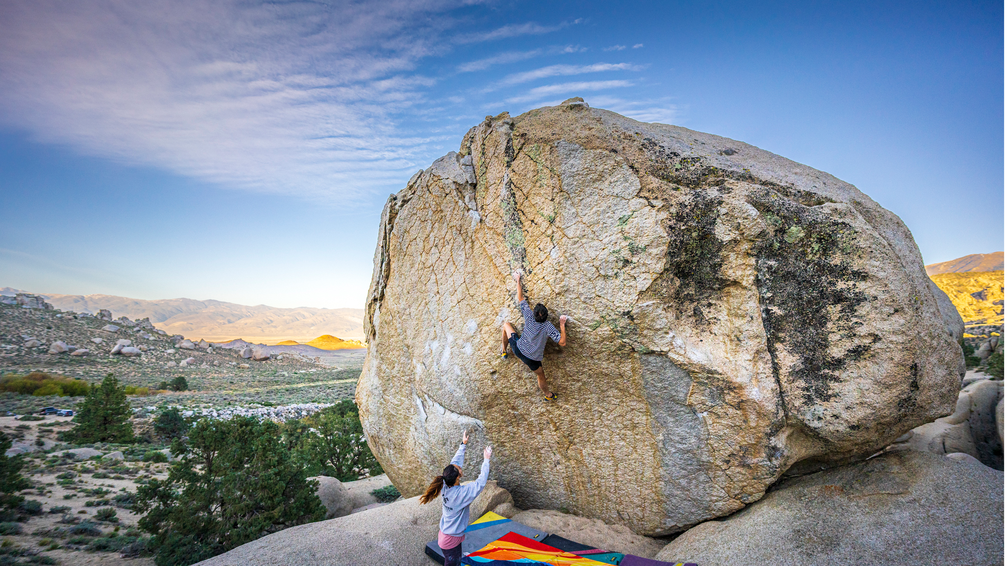 The Checkerboard V8, Bishop