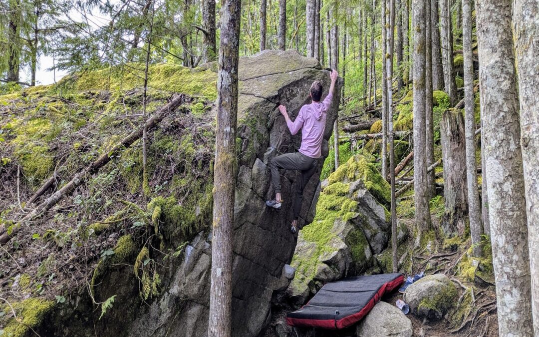 The Top 10 Most Popular Problems in Gold Bar